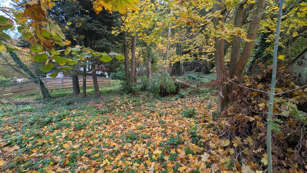 Grundstück Pirna - 79.000&euro; | Angebot:25705462