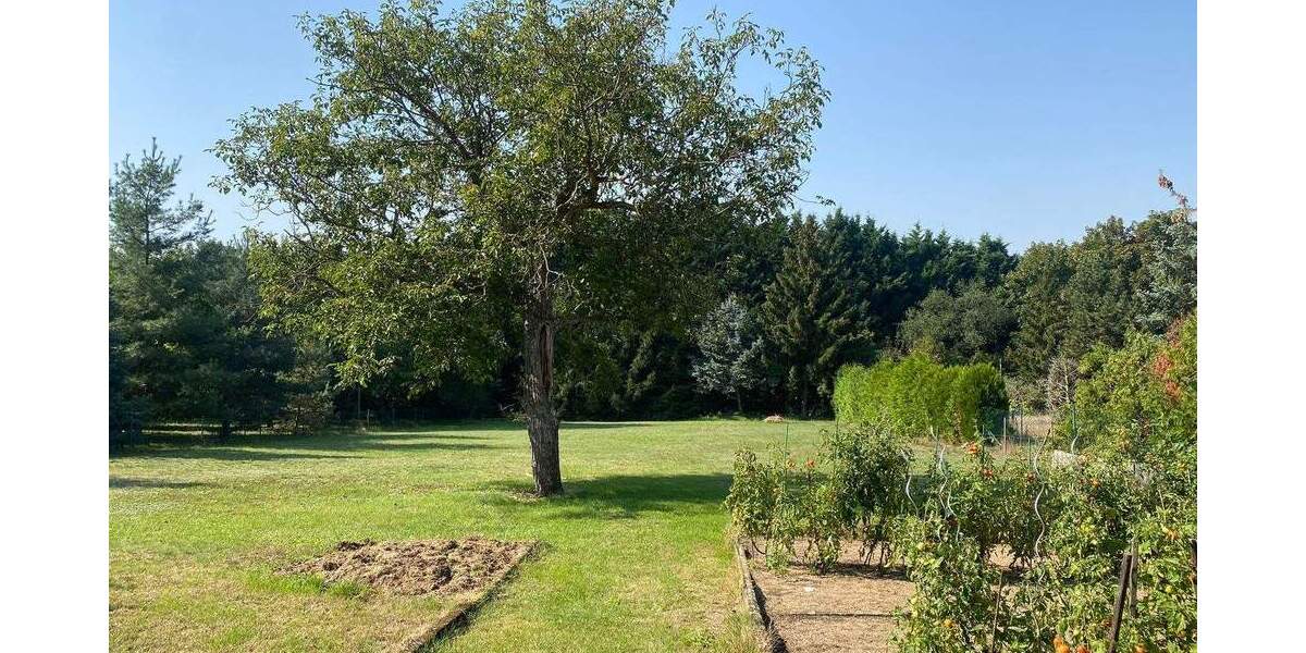 Einfamilienhaus Weinböhla - 1 Zimmer, 260 m&sup2;, 450.000&euro; | Angebot:25703571