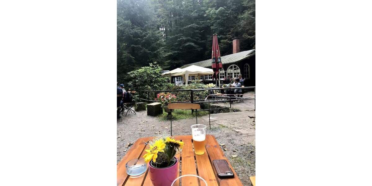 Gewerbeobjekt Lohmen Uttewalde - 299.000&euro; | Angebot:26027529