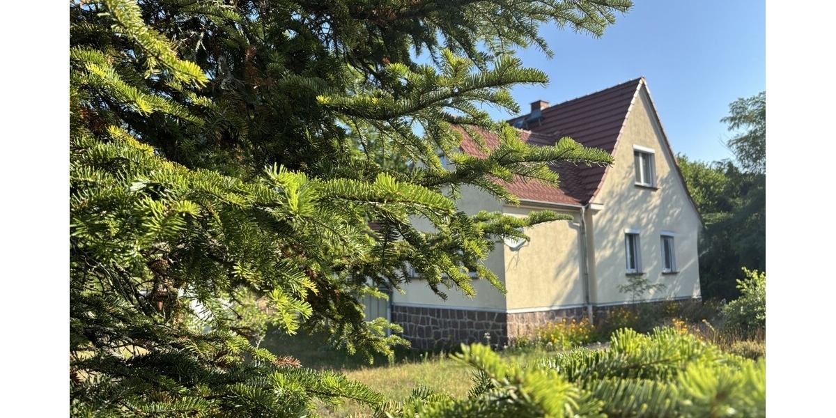 Einfamilienhaus mit ganz viel Potential und XL Grundstück in begehrter und ruhiger Siedlungslage - Einfamilienhaus Weinböhla | Angebot:27156514