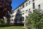 Etagenwohnung Dresden Blasewitz - 3 Zimmer, 56 m&sup2;, 616&euro; | Angebot:26448771