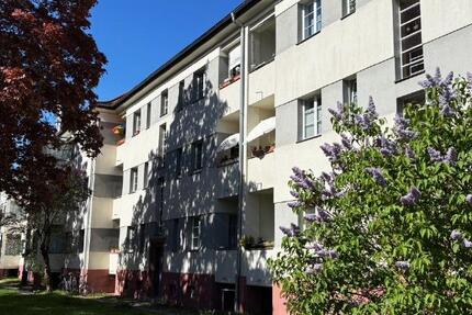 Wohnung Dresden Blasewitz - 3 Zimmer, 56 m&sup2;, 616&euro; | Angebot:26448771