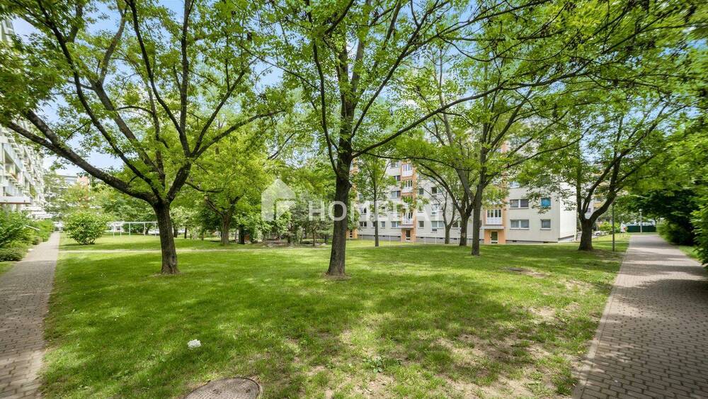 Etagenwohnung Dresden Räcknitz/Zschertnitz - 3 Zimmer, 66 m&sup2;, 179.000&euro; | Angebot:26834073