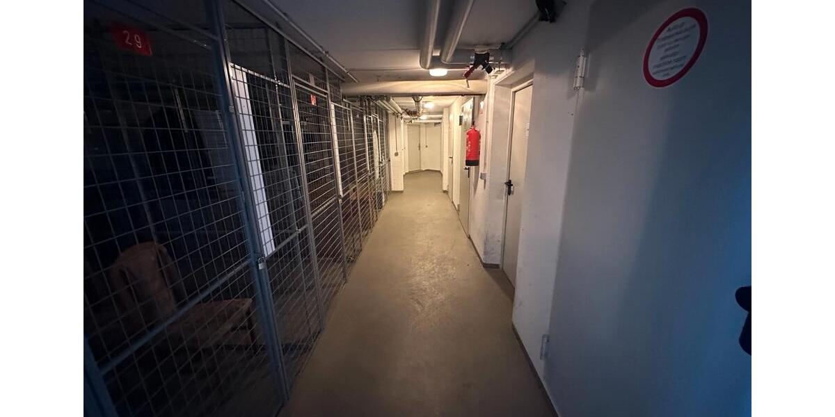 Dachgeschoßwohnung Dresden Blasewitz - 3 Zimmer, 60 m&sup2;, 225.000&euro; | Angebot:26642849