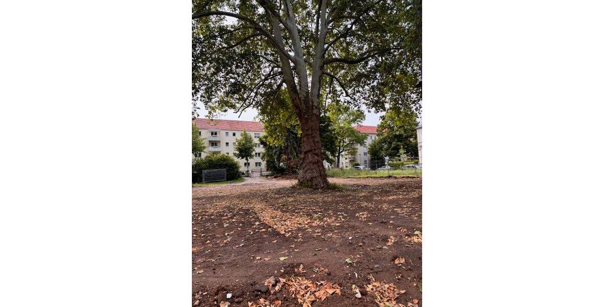 Etagenwohnung Dresden Südvorstadt-West - 4 Zimmer, 101 m&sup2;, 707.000&euro; | Angebot:26378146