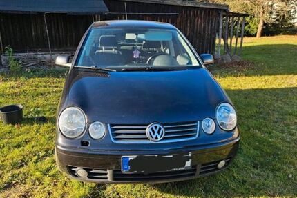 VW Polo 249.974 km 2.700 &euro; Reinsberg 09629