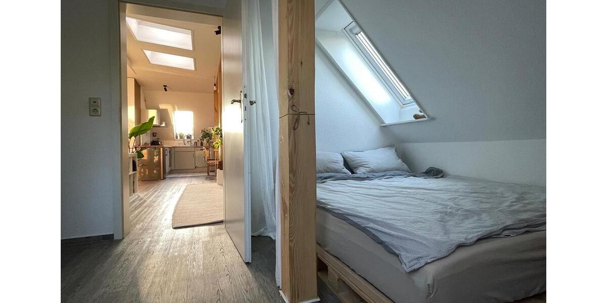 Dachgeschoßwohnung Dresden Blasewitz - 2 Zimmer, 55 m&sup2;, 400&euro; | Angebot:26458394