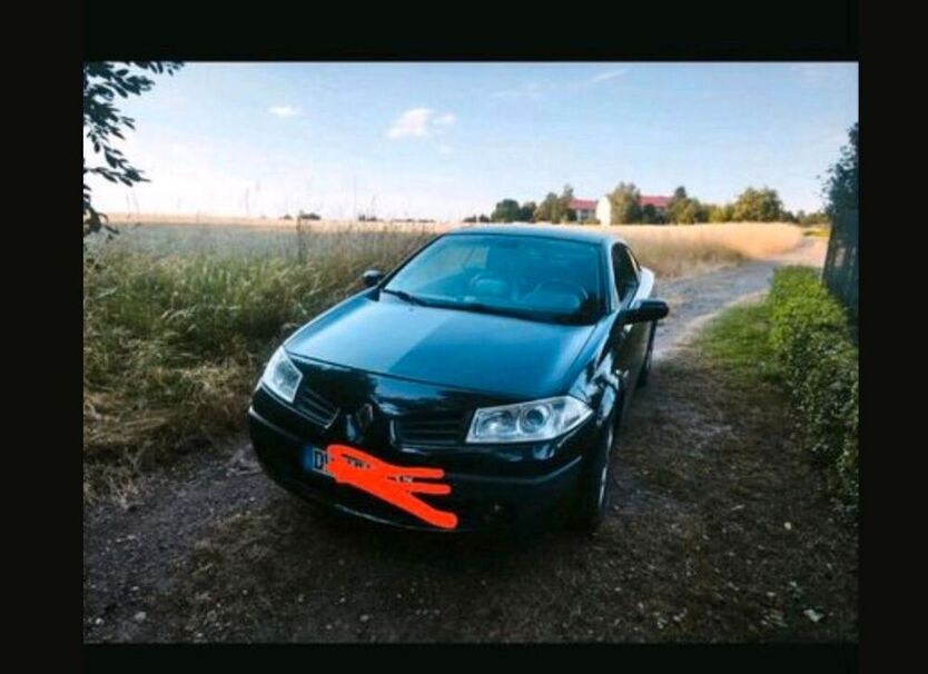 Megane