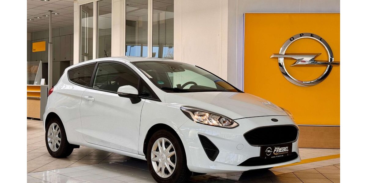 Ford Fiesta 98.661 km 8.495 &euro; Heidenau 01809