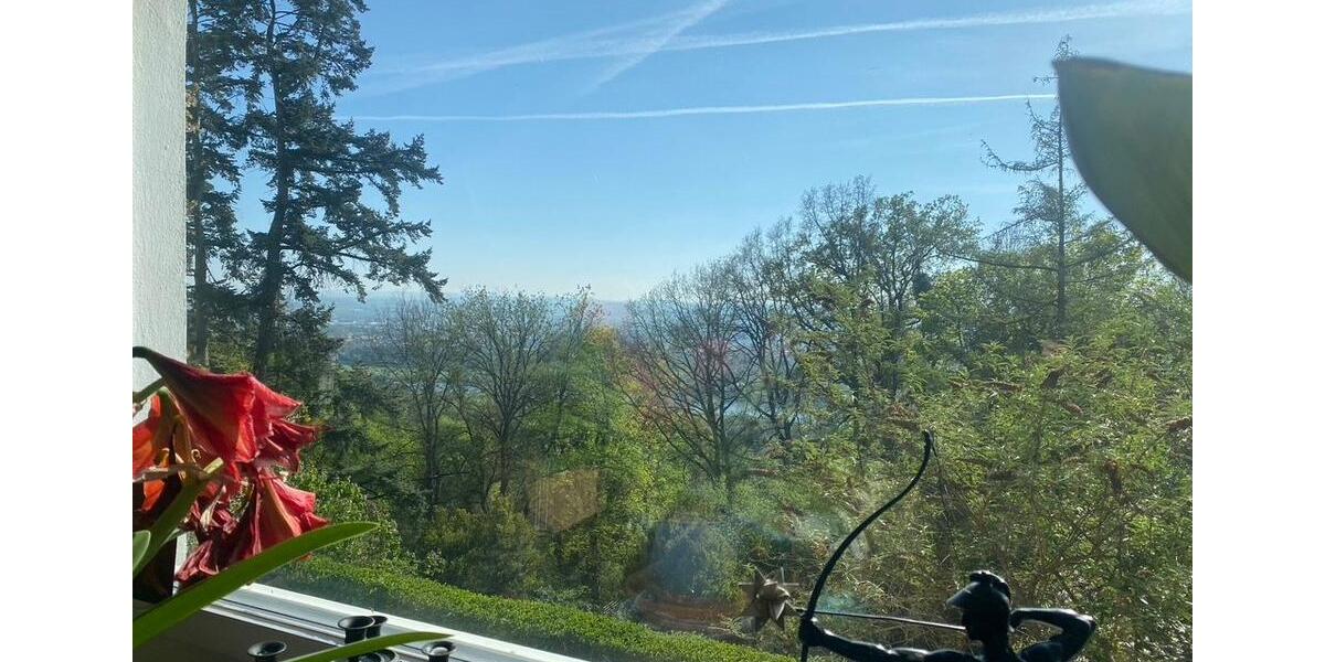 Terrassenwohnung Dresden Loschwitz - 6 Zimmer, 181 m&sup2;, 2.353&euro; | Angebot:26273705