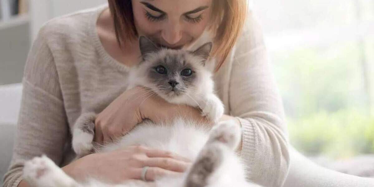 Doppelhaushälfte Ebersbach Rödern - 5 Zimmer, 150 m&sup2;, 355.000&euro; | Angebot:24725587