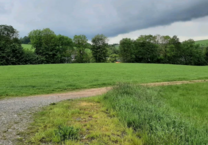 Grundstück zu verkaufen in Sachsen - Rechenberg - Bienenmühle 300.000 € 12000 m²