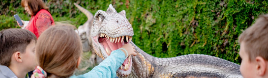 Saurier Park Bautzen Dinos