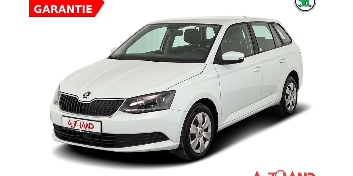 Skoda Fabia 127.252 km 10.990 &euro; Dresden 01069