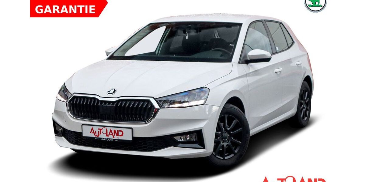 Skoda Fabia 22.451 km 16.950 &euro; Meißen 01662