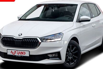 Skoda Fabia 22.451 km 17.490 &euro; Meißen 01662