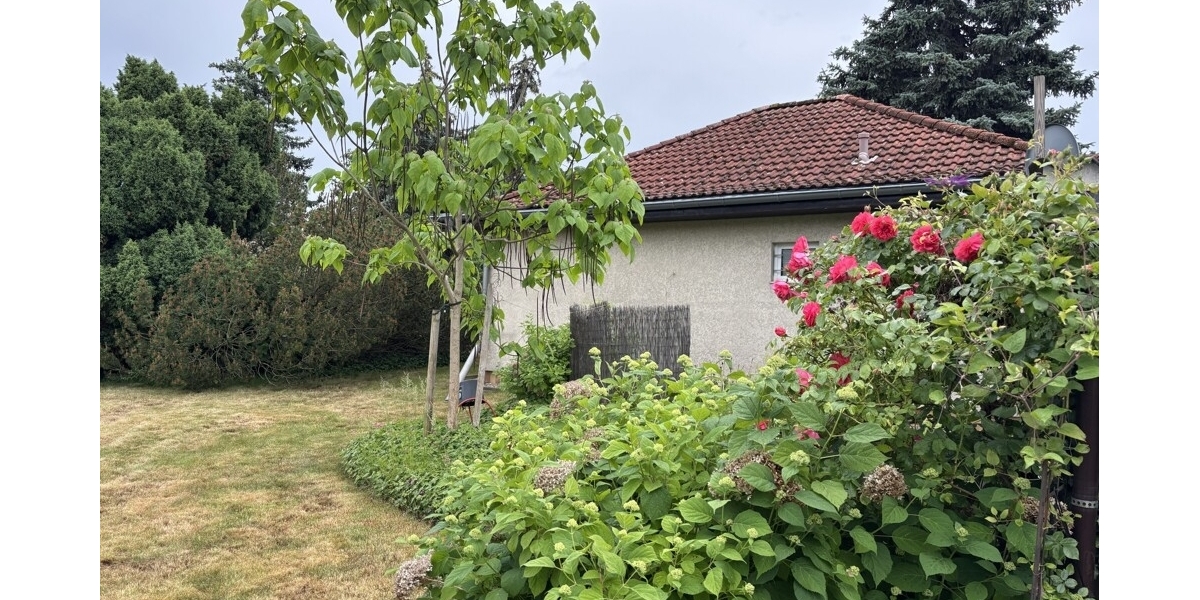 Idyllischer Bungalow auf großem Baugrundstück (1.560 m²) mit exzellentem Neubau-Potenzial in Coswig - Bungalow Coswig | Angebot:27443879