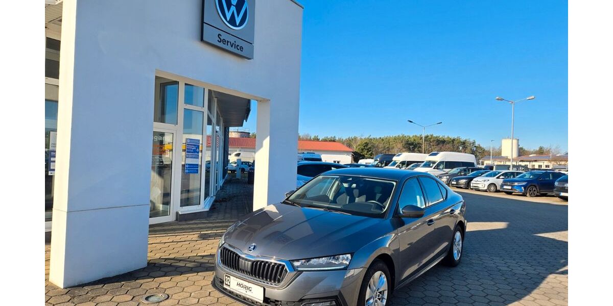 Skoda Octavia 24.000 km 22.490 &euro; Königsbrück 01936