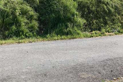 Grundstück Dürrröhrsdorf Dittersbach - 140.000&euro; | Angebot:25572047