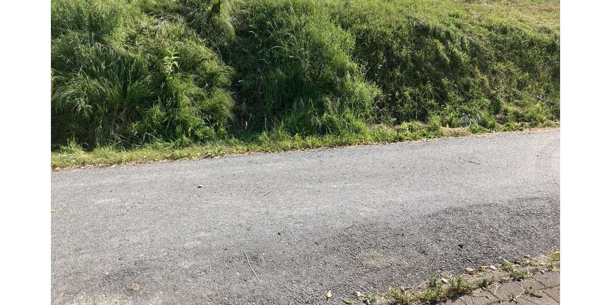 Grundstück Dürrröhrsdorf Dittersbach - 140.000&euro; | Angebot:25572047