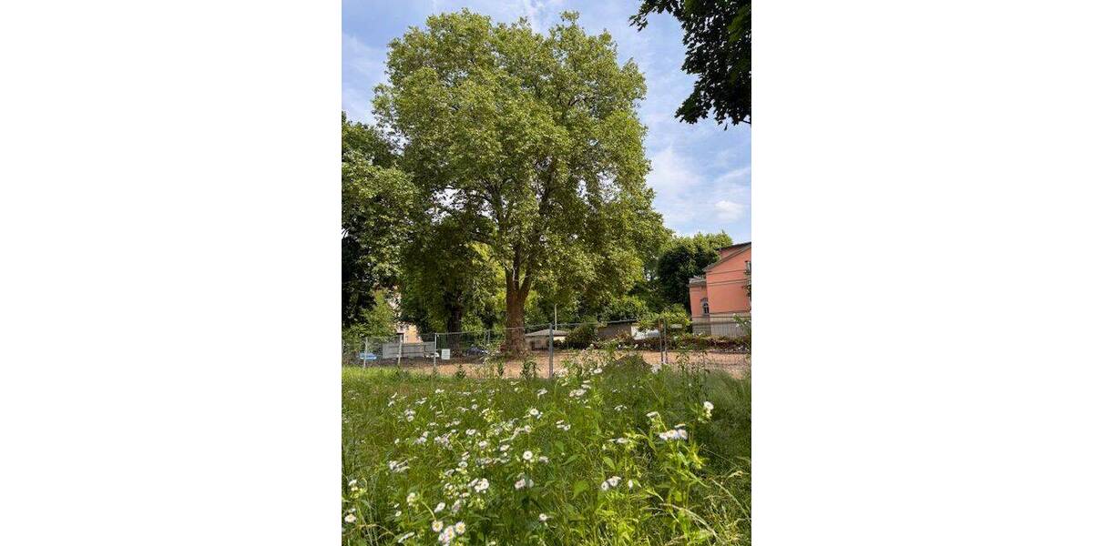 Etagenwohnung Dresden Südvorstadt-West - 4 Zimmer, 100 m&sup2;, 740.000&euro; | Angebot:26543324
