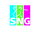 SNG Immobilien- und Versicherungsmakler GmbH