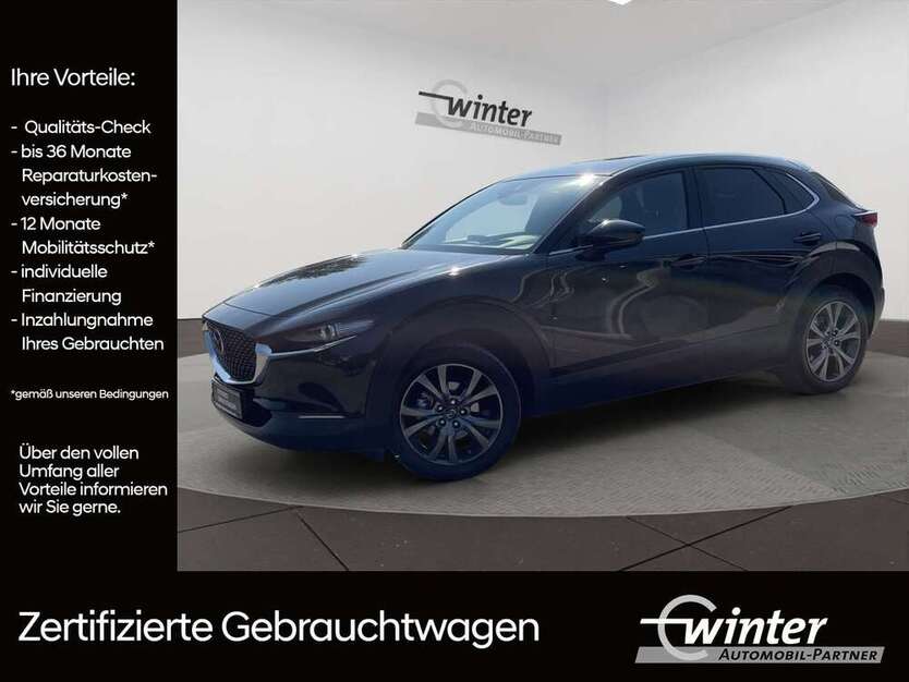CX-30