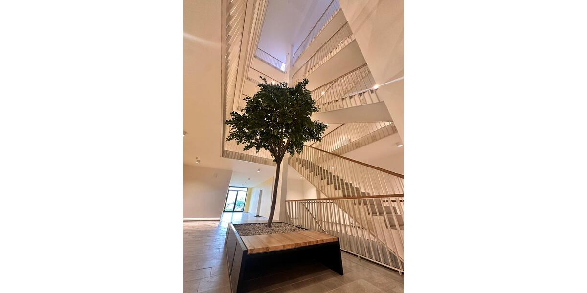 Etagenwohnung Dresden Neustadt - 3 Zimmer, 93 m&sup2;, 1.574&euro; | Angebot:26645184