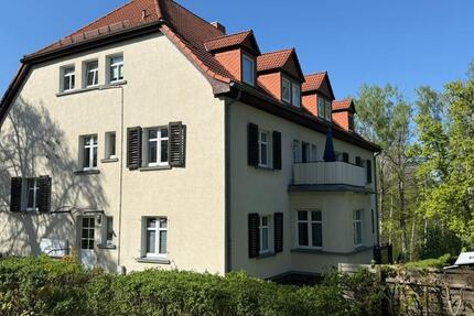 Wohnung Halsbrücke - 1.5 Zimmer, 45 m&sup2;, 46.000&euro; | Angebot:24784243