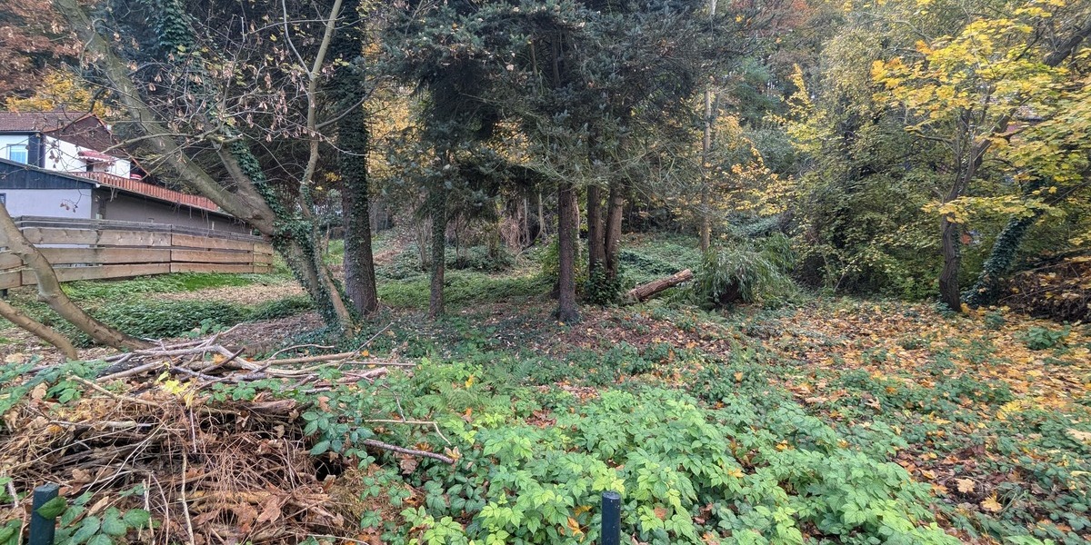 Grundstück Pirna - 79.000&euro; | Angebot:25705462