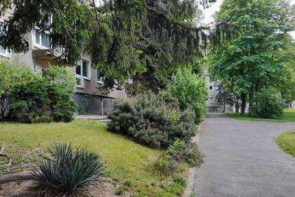 Wohnung Dresden Prohlis - 3 Zimmer, 64 m&sup2;, 418&euro; | Angebot:26489277