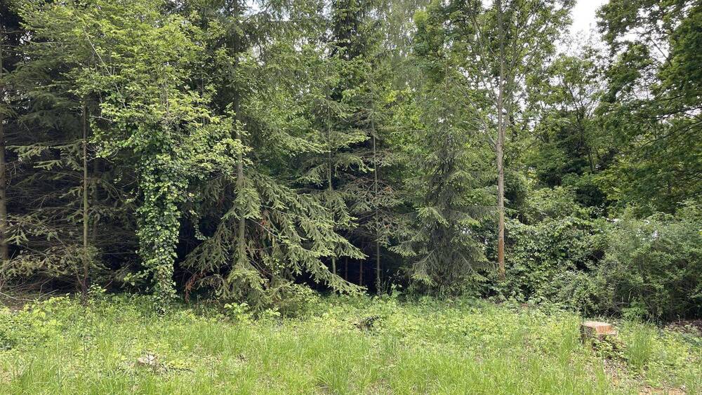 Grundstück Bannewitz Hänichen - 250.000&euro; | Angebot:25837752