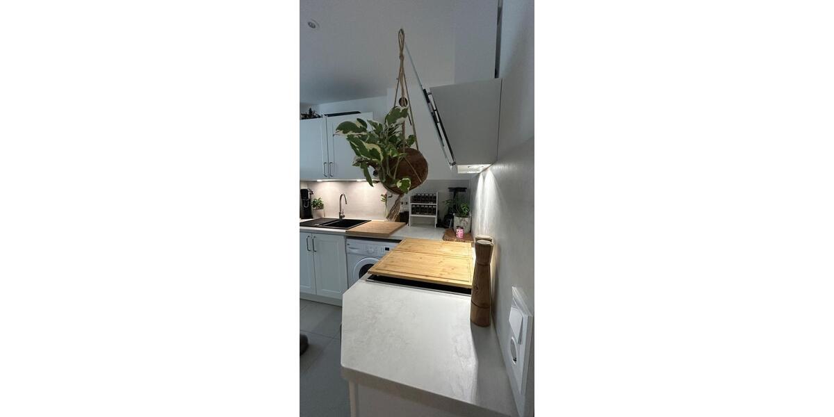 Erdgeschoßwohnung Dresden - 1.5 Zimmer, 33 m&sup2;, 650&euro; | Angebot:24423293