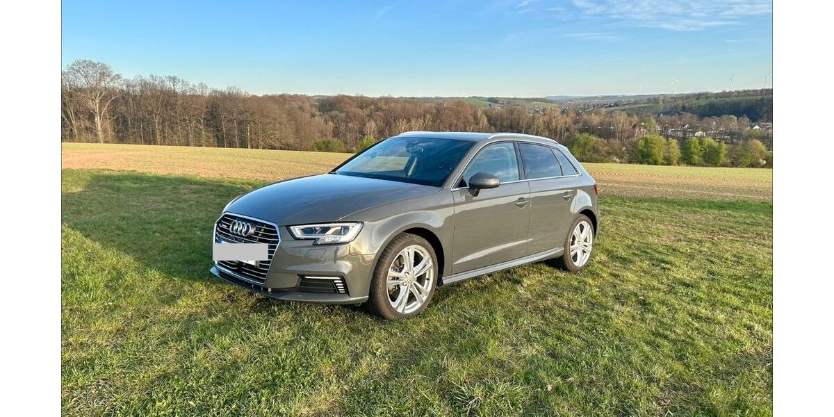 Audi A3 87.500 km 19.500 &euro; Dresden 01279
