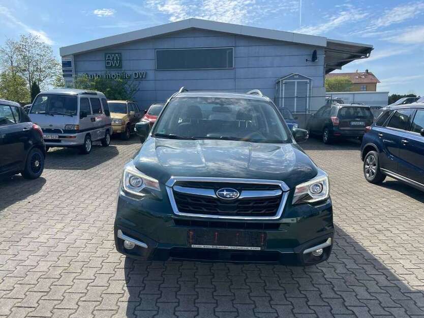 Forester