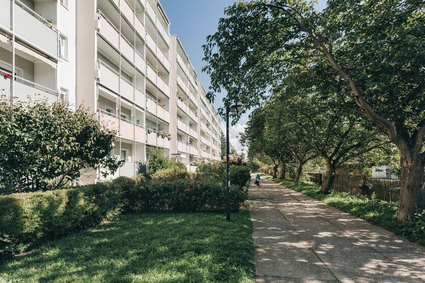 Provisionsfrei* Attraktive 3-Raum-Wohnung in Dresden-Gorbitz, frisch saniert, sofort bezugsfrei 3 zimmer