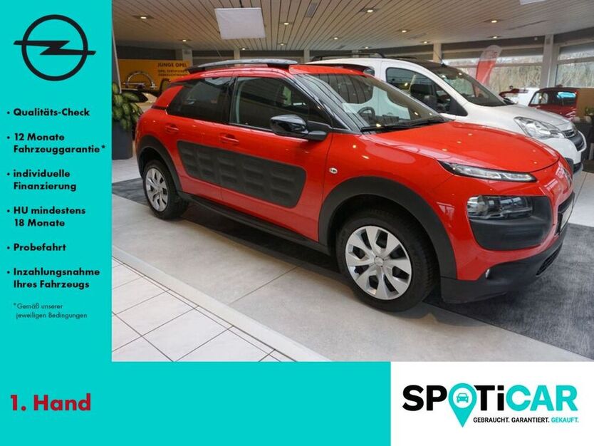 C4 Cactus