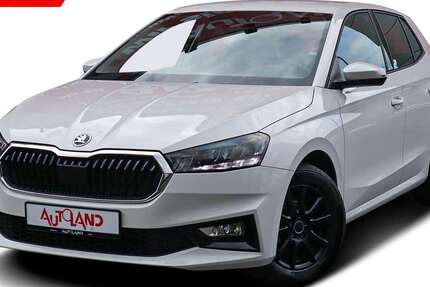 Skoda Fabia 22.451 km 16.950 &euro; Meißen 01662
