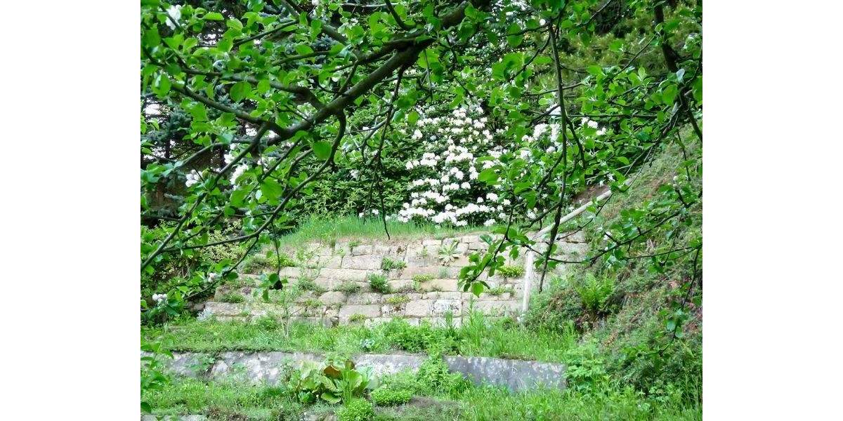 Grundstück Dresden Bühlau/Weißer Hirsch - 320.000&euro; | Angebot:25694294