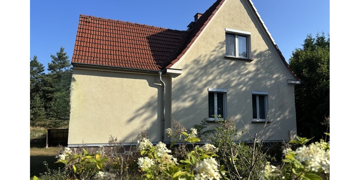 Einfamilienhaus mit ganz viel Potential und XL Grundstück in begehrter und ruhiger Siedlungslage - Einfamilienhaus Weinböhla | Angebot:27156514