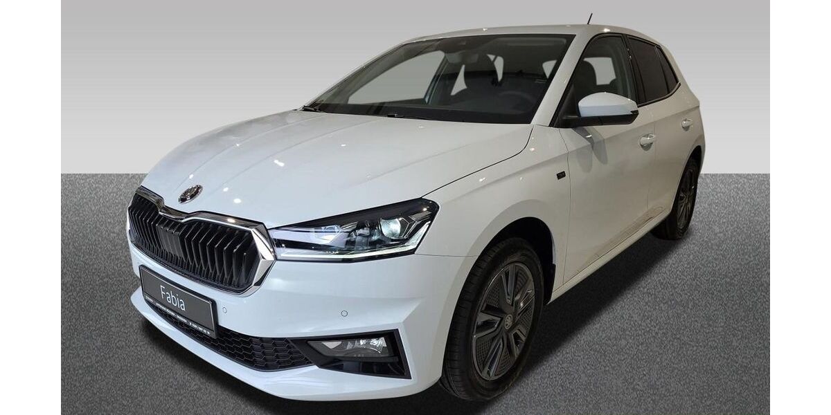 Skoda Fabia 2.800 km 20.990 &euro; Dresden 01067