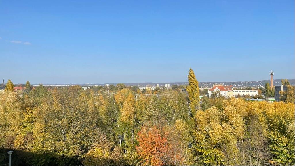 Etagenwohnung Dresden Leubnitz-Neuostra - 3 Zimmer, 62 m&sup2;, 128.000&euro; | Angebot:26247843