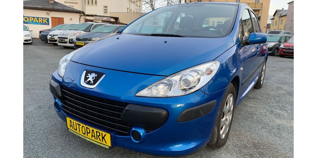 Peugeot 307 127.500 km 2.500 &euro; Heidenau 01809