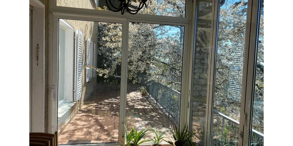 Terrassenwohnung Dresden Loschwitz - 6 Zimmer, 181 m&sup2;, 2.353&euro; | Angebot:26273705