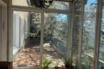 Terrassenwohnung Dresden Loschwitz - 6 Zimmer, 181 m&sup2;, 2.353&euro; | Angebot:26273705