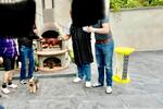 Erdgeschoßwohnung Dresden Loschwitz - 2 Zimmer, 57 m&sup2;, 730&euro; | Angebot:26458410