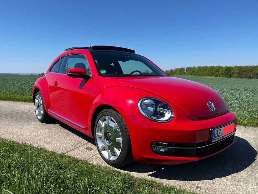 Beetle