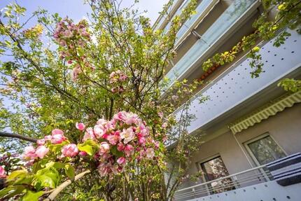 Wohnung Dresden Cotta - 4 Zimmer, 77 m&sup2;, 753&euro; | Angebot:25371813