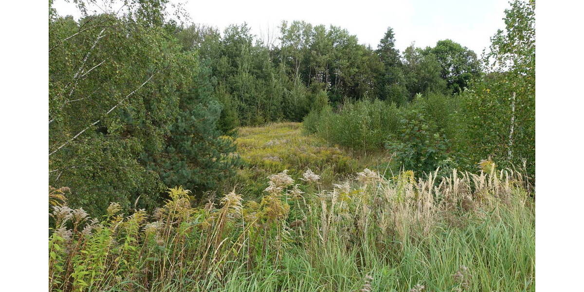 Gewerbeobjekt Großröhrsdorf - 549.000&euro; | Angebot:25676991