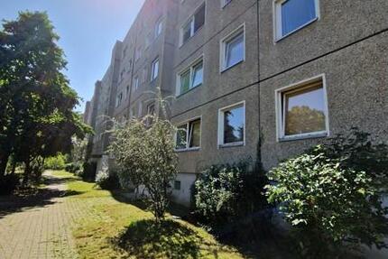 Studenten aufgepasst: WG-geeignete 3-Zimmer-Wohnung! zimmer